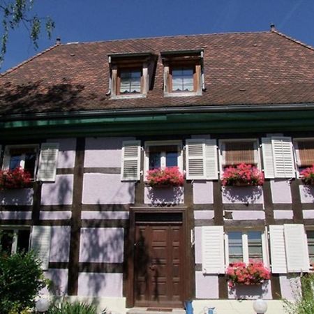 Chambres D'Hotes "Aux Portes De L'Alsace" Suarce Eksteriør bilde